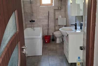 Casa 3 camere  recent renovata in Nadlac - 8