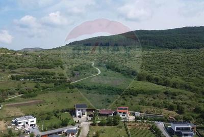 Teren 700 mp in ansamblu privat exclusivist Radaia, Cluj - 2