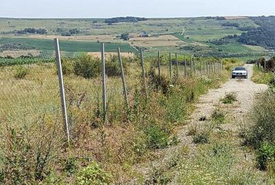 Oportunitate: teren extravilan Cluj, 4527 mp, apa, curent, pret 18 Eur/mp - 8