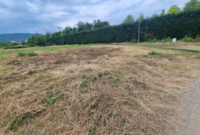 Teren Construcții de 581 mp, în Micești
