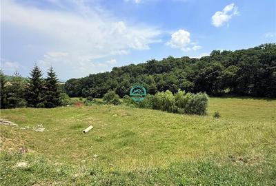 Vand teren 2500 mp in Unirii zona Laboratorului Denisa - 3