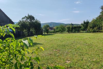 Teren Construcții intravilan de 1000 mp, în Dobârlău