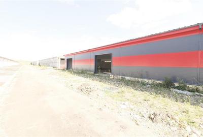 Hale 600 mp, renovate 2022, acces catre E583, Zona Lear - 3