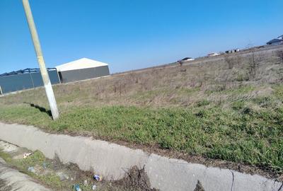 Teren Construcții intravilan de 981 mp, în Pielești