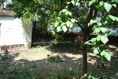 Casa 3 camere , garaj , teren 500 mp- Rusu Sirenu - 4