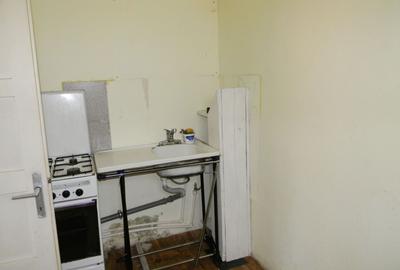 Proprietate cu 2 hale si casa la inchiriat,teren 1350mp - 17