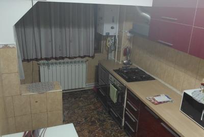 Apartament cu 3 camere mobilat si utilat complet Siderurgistilor - 8