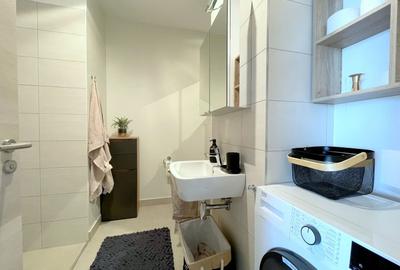 Apartament 2 camere inchiriere - zona Take Ionescu - 14