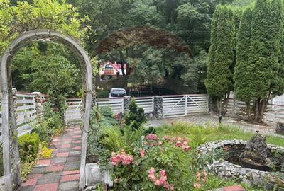 Cabana autentica de munte Frasinet - Baisoara 600 mp teren - 3