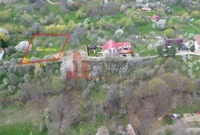 TEREN PREMIUM ÎN BRAN – SOHODOL | 3000 MP CU PANORAMĂ EXCEPȚIONALĂ - 1