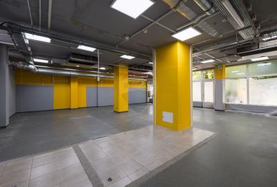 SPAȚIU COMERCIAL  | 231 MP | VAD COMERCIAL - 3