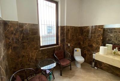 Vila Dorobanti - 10