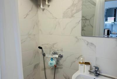 CAPITOL GARSONIERA 24 MP  MOBILAT UTILAT RENOVAT PRET  430 EURO - 6