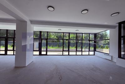 Spatiu comercial 220 mp cu curte si terasa, Sector 1 - 2