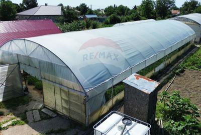 Proprietate 2.229 mp cu Dotări pentru Afacere Florală - 10