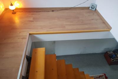 Cabana 4 camere zona Valea Avrigului - 13