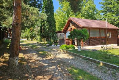 Oferta vanzare casa si teren 1697 mp in Stefanesti, 97000 EURO - 13