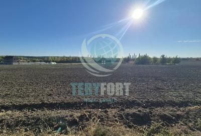 Teren Intravilan Lot de Casă  cu vedere lac 1.000 m.p Găneasa Ilfov - 7