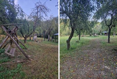 Teren de vacanță 5600 mp cu cabană, Utilitaiile Căsoaia jud Arad - 6