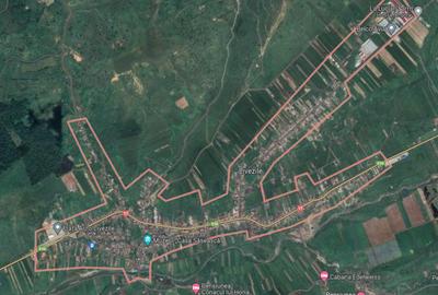 Teren faneata 5.249 mp Livezile, jud. Bistrita Nasaud (licitatie) - 1
