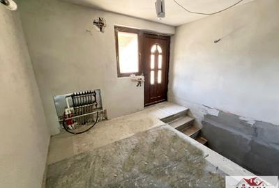 Casa de vanzare in Apuseni - Horea cu 16 000 mp teren - 9