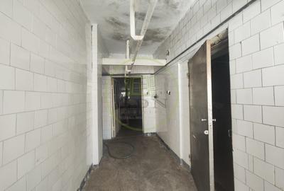 Spatiu comercial 9 camere, casa 2 camere,  teren 354 mp, Brestei. - 11