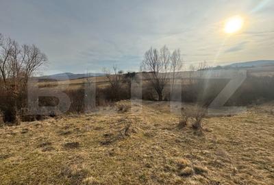 Teren agricol extravilan de 11200 mp, în Sud