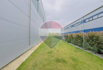 Depozit frigorific Oradea zona industriala - 21