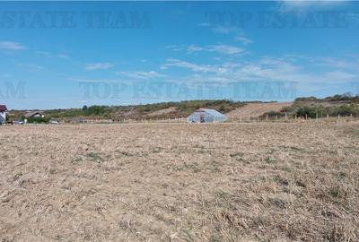 Ferma 3,3ha, din care 2,5ha intravilan, vila 7 camere, D+P+E+M, casa pentru munc - 6