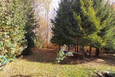 Vanzare casa la munte langa padure in Cheia judetul Prahova - 4