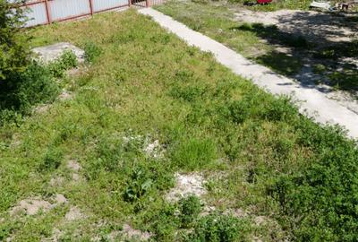 Casă P+1 cu teren de 1.769 mp, aproape de Titu – Săvești, Braniștea, Dâmbovița - 10