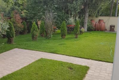 CASA OTOPENI FERME (SCOALA,AFTERSCHOOL,CLINICA) - 7