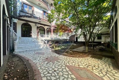 Vila de inchiriat-Saftica - 12