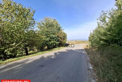 Comision 0. Teren cu autorizatie de construire in Salicea - 1