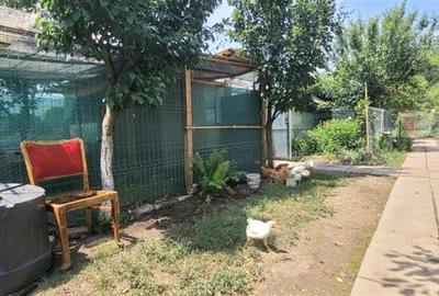 Teren 3100 mp cabana potential investitional Sura Mica Sibiu - 21