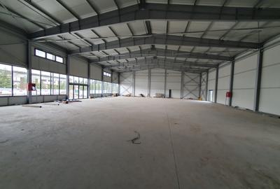 Spațiu comercial, 1300 mp în Astra