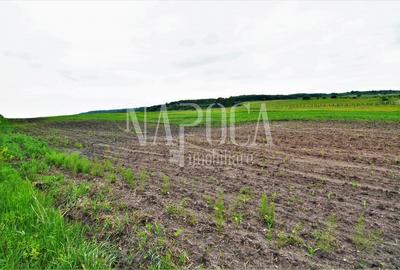 Teren extravilan pentru constructii de vanzare in Popesti - 5