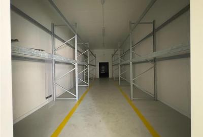 Hale depozitari simple, refrigerare, congelare, de la 200mp la 800mp Letcani, zo - 5