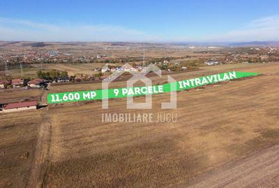 Oportunitate de investiție și dezvoltare – 11.600 mp | Jucu de Sus - 4