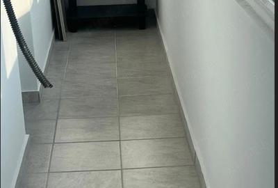 AP 2 CAM DE VANZARE RENOVAT RECENT . - 9