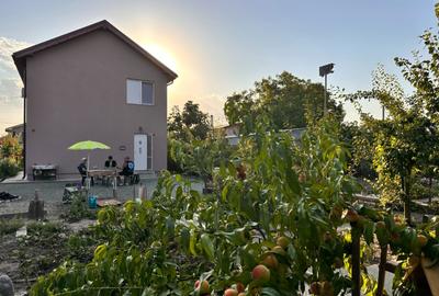 Proprietate Deosebita 2019 Palazu Mare  P+1+M +CASA  NR 2 - 2 APART 1400mp Teren - 4