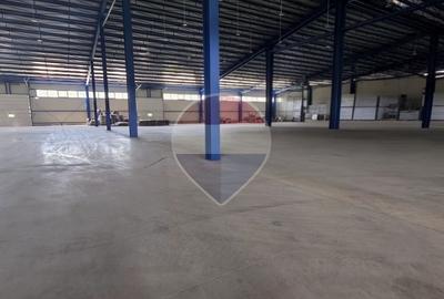 Hala industriala noua de inchiriat 9700 MP 600 KVA pret tva inclus - 5