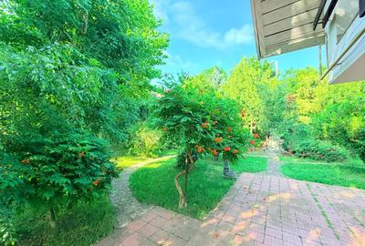 Casă individuală în Bucium - Hanul Dacilor, 342 mp, 1.140 mp teren - 15