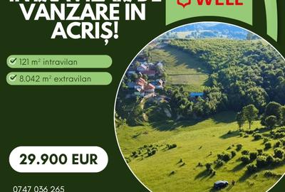 Teren extravilan de 8163 mp, în Acriș