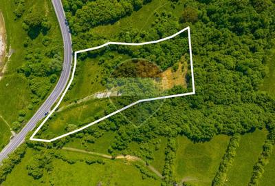 Teren Construcții intravilan de 10000 mp, în Glăjărie