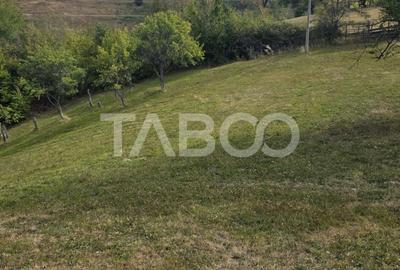 Teren de vanzare 8.300 mp Plesi Loman judetul Alba - 1