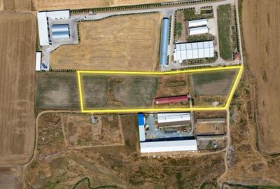 Cogealac - Tariverde – Ferma cu teren intravilan, utilitati racordate! - 2