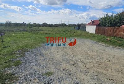 Teren Construcții intravilan de 332 mp, în Bărăbanț