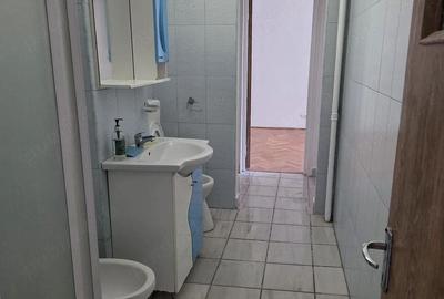 Vanzare 2 cam Dristor - P-ta Ramnicu Sarat - 5