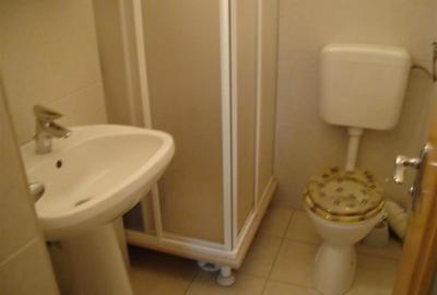 Apartament 4 camere Parter Inalt Calea Calarasilor - 5